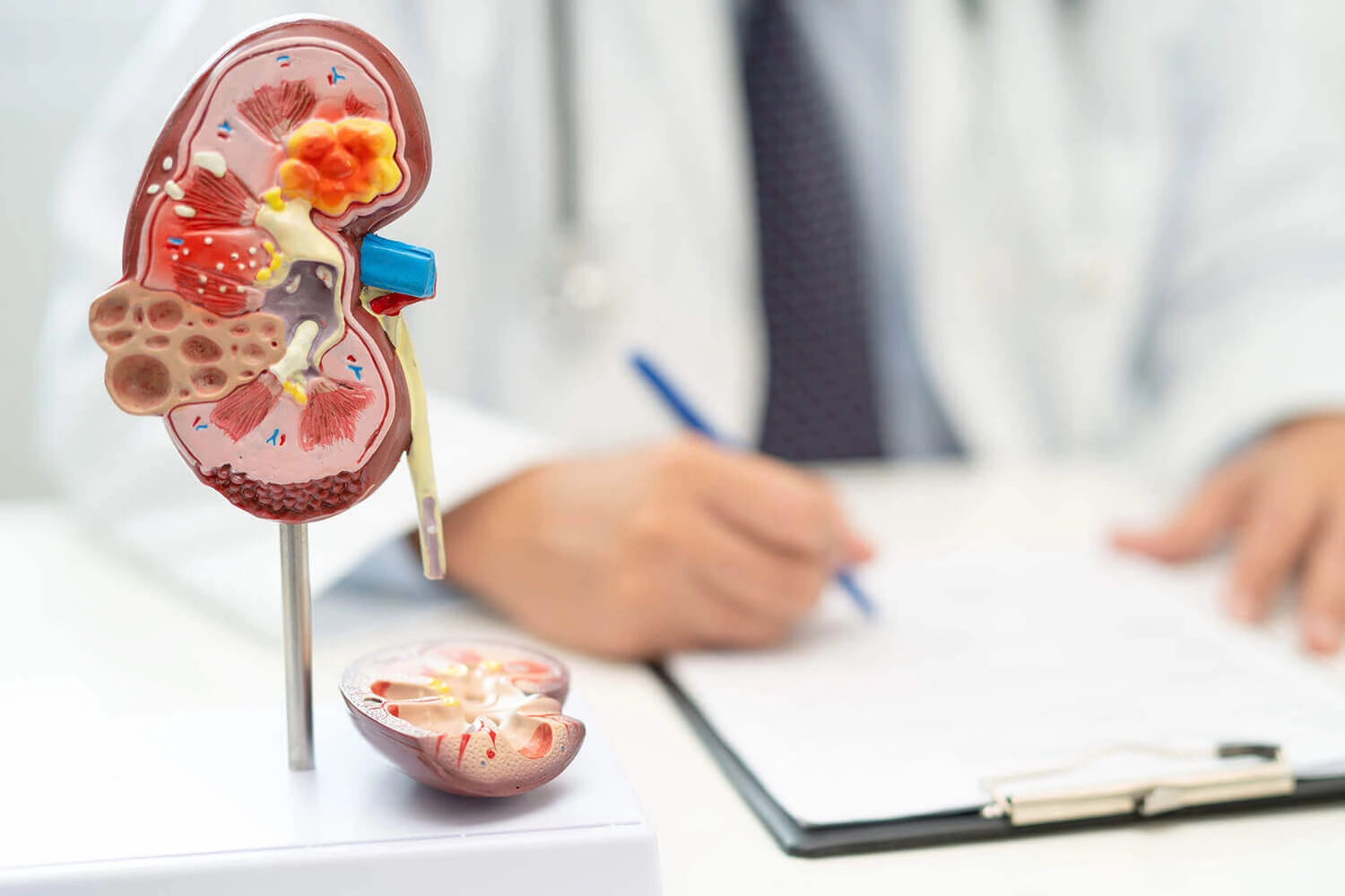 Kidney Specialist in Nashik - Best Nephrologist
